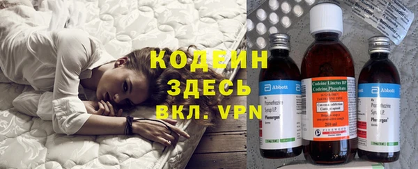 прущие грибы Арсеньев