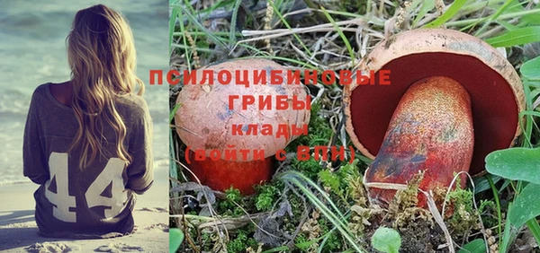 прущие грибы Арсеньев